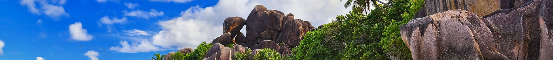 深圳市庆辉达食品有限公司